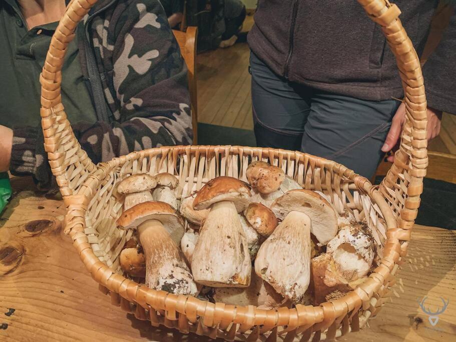 A L'Entree Du Verger - Charmante Maison En Pierres Dinant Kültér fotó